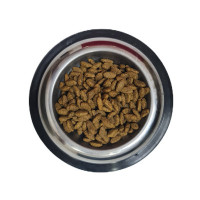 Pro Plan Medium Adult Somonlu Yetişkin Köpek Maması 1 Kg