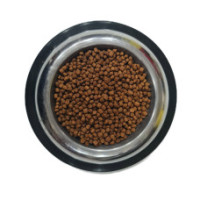 Rico Tavuklu Yavru Kedi Maması 1 Kg